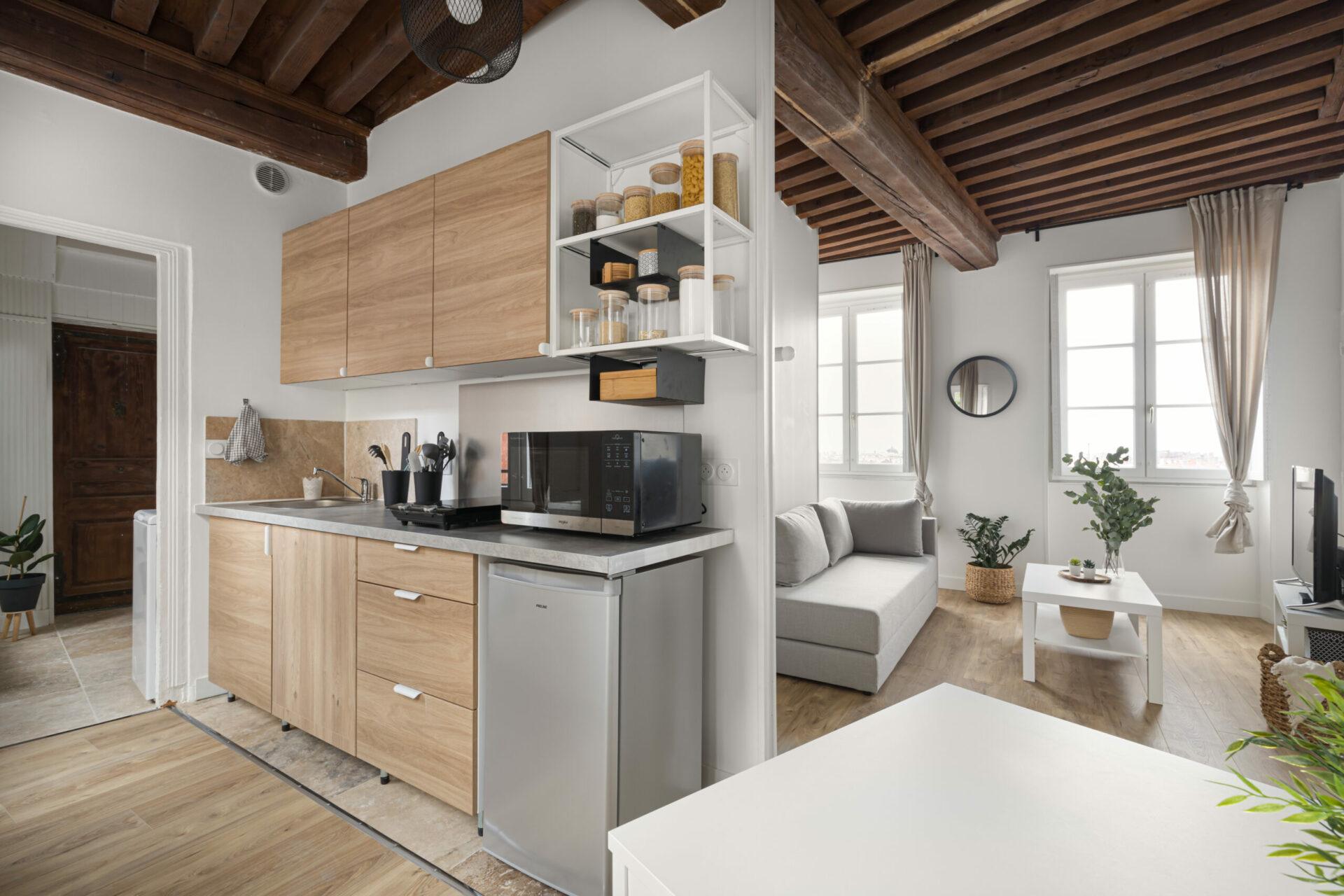 Rénovation d'un appartement à Lyon 1