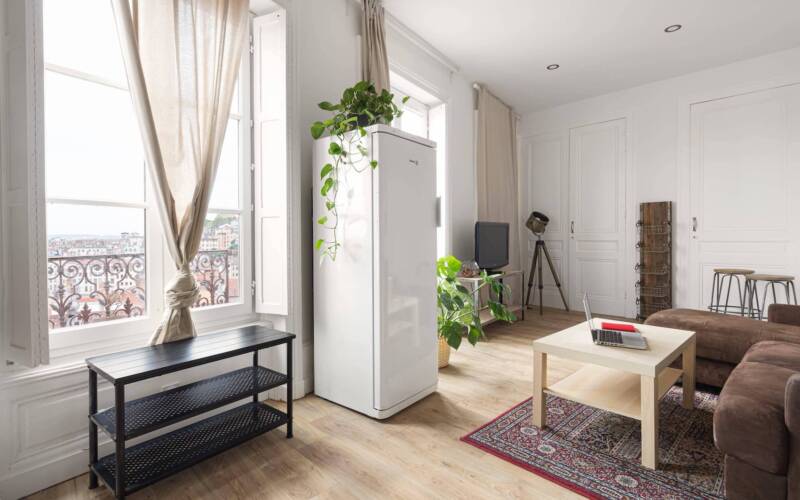 Rénovation d'un appartement à Lyon 1